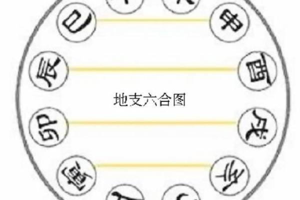 堇字的五行属性解析及其与命理的关系