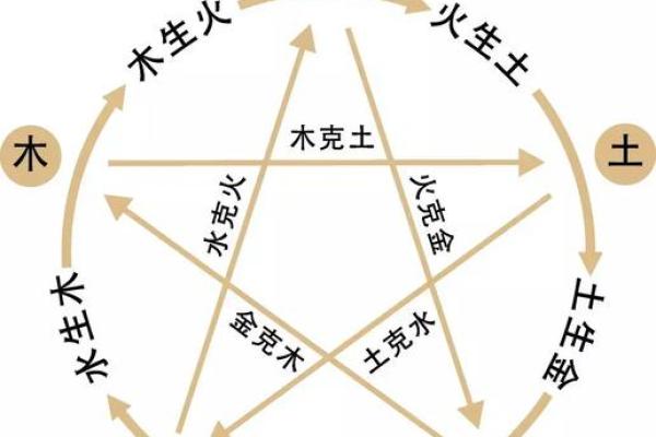 西洋命理馆探索：揭示你的命运与未来走势