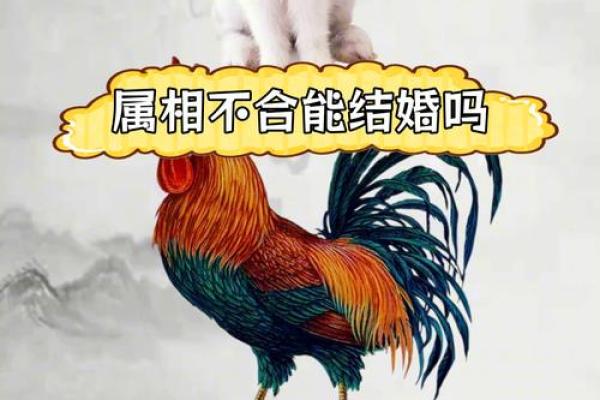 牛与鸡相配的婚姻如何走得更远