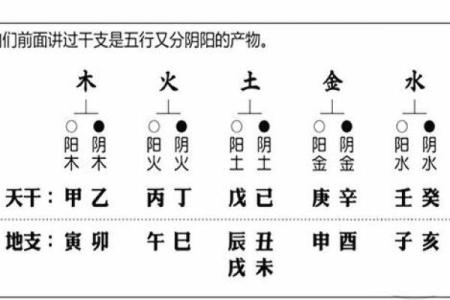 水木命解析：探索命理中的五行与命运关系