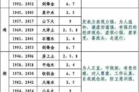 五行属性解析及其对个人命运的影响