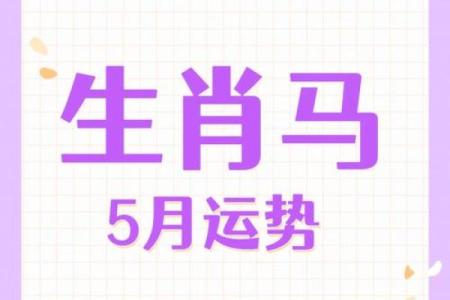 属马人如何化解命运中的挑战