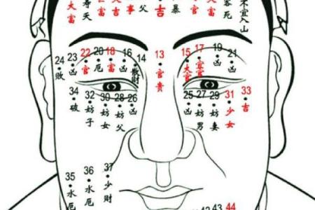 痣相无职的面相解析：命运与职业之间的关系