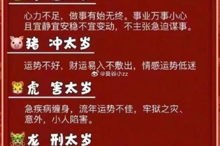 出生属什么生肖及其命运走向