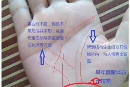 解读女人手相生命线的深层含义与命运指示