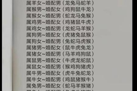 女蛇男狗婚姻能否长久？深入解析两者关系的潜力