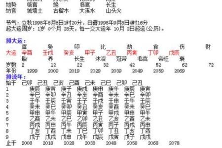真太阳时排盘的深度解析与应用技巧