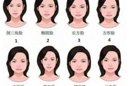 额头低面相与人生挑战的关系