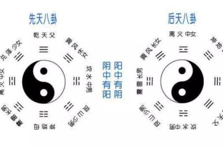 堇字的五行属性解析及其与命理的关系