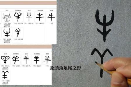 牛和羊在婚姻中的相处之道