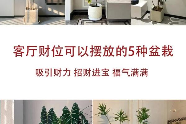 揭秘冰箱摆放在财位的风水优势