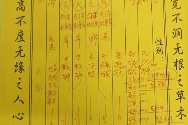 解读八字旺在命运中的作用