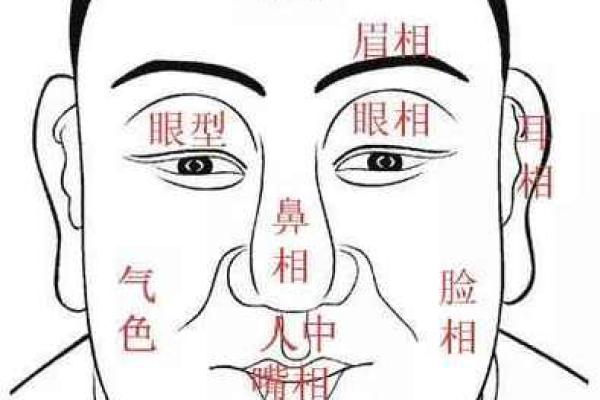 面相天庭的秘密：影响你命运的关键因素