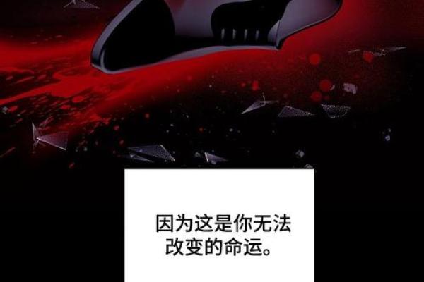 从戴罡命理看个人命运的改变与调整方法
