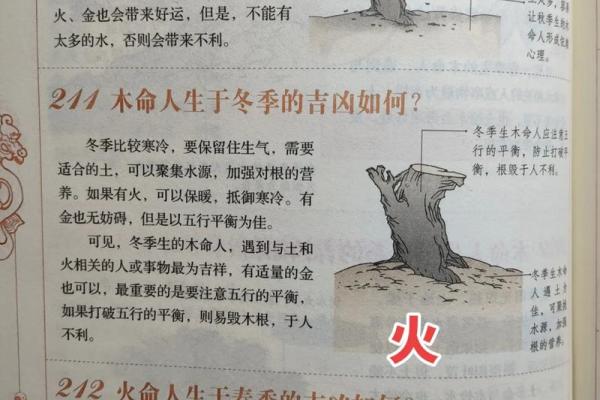 金命与火命如何影响个人命运