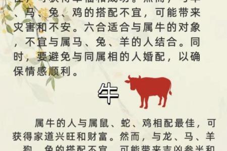 女兔男龙婚姻能否长久？从五行与生肖看配对优势