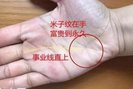 手相龙纹的含义与解读：从手掌看你的未来