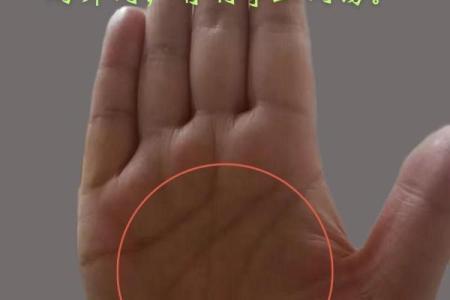 手心有痣？揭秘不同位置的痣相与命运暗示