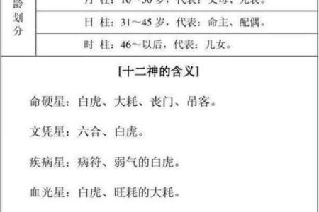 八字速查表的应用与解读技巧