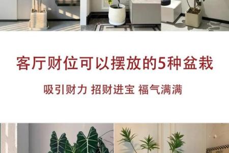 揭秘冰箱摆放在财位的风水优势