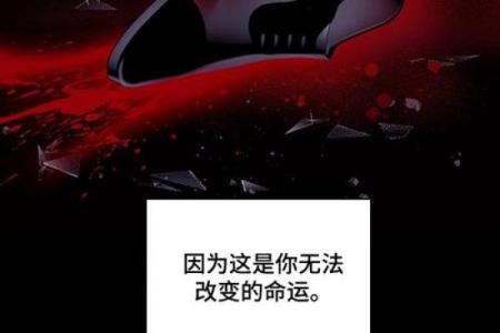 从戴罡命理看个人命运的改变与调整方法
