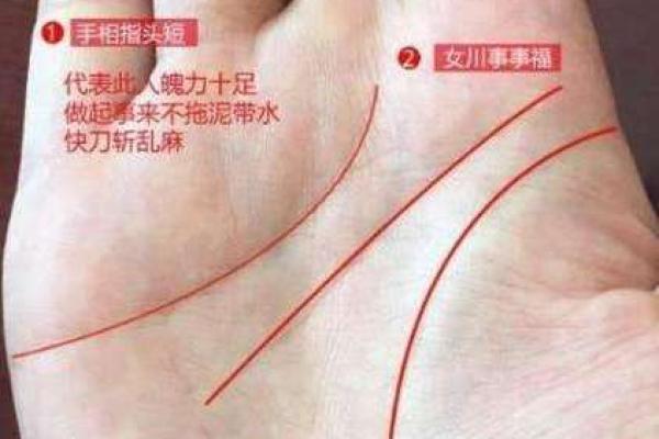 揭秘看手相的秘密：女性命运的线条如何暗示未来