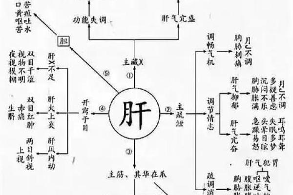 杭字五行属性解析及其在命理中的重要性
