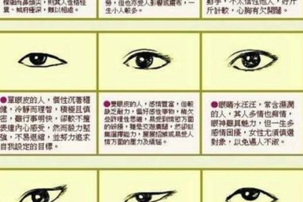 额头短的人面相特征与命运关系揭秘