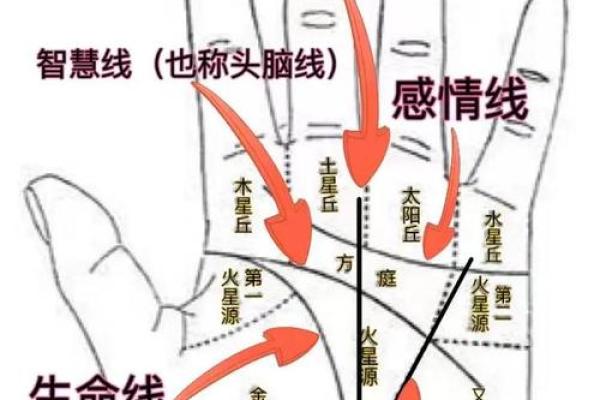 手相能揭示个人命运吗？揭开手相的神秘面纱