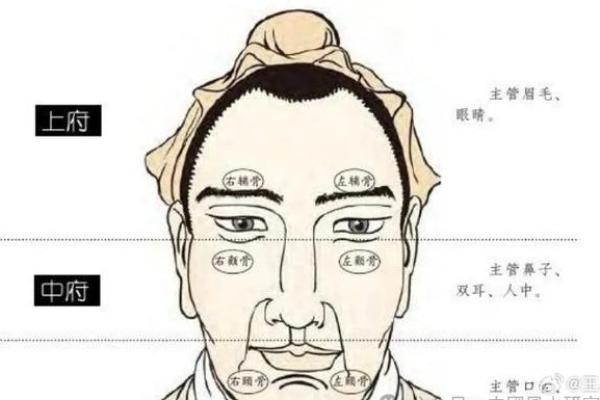 高命的含义是什么：探索命运背后的深层次含义