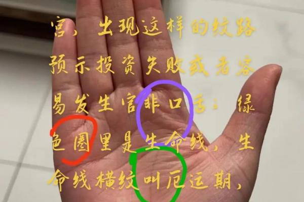 手相与健康：如何通过掌纹发现潜在的健康问题