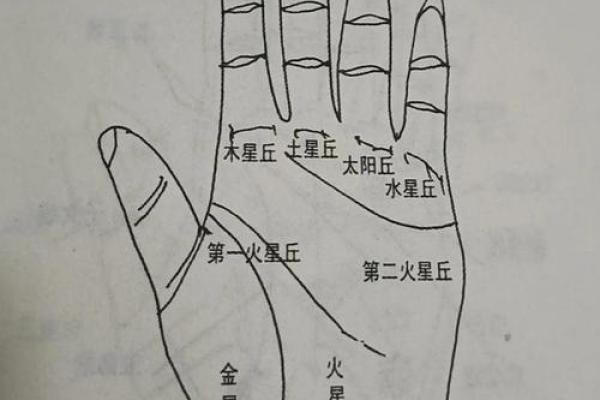 手相学解读：金星丘横纹的吉凶象征