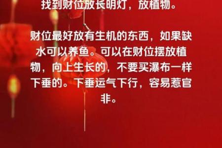 破解多肉植物影响财位风水的常见误区