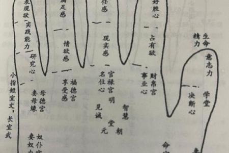 子女宫手相：如何通过手掌预测子女运势