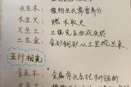 今字五行属性解析与运用技巧