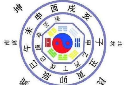 木猪命的命理学解读：如何找到平衡