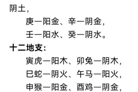 深入解析武曲天干在八字中的作用