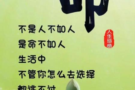 高命的含义是什么：探索命运背后的深层次含义