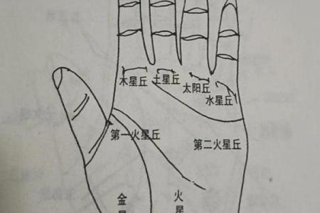 手相学解读：金星丘横纹的吉凶象征