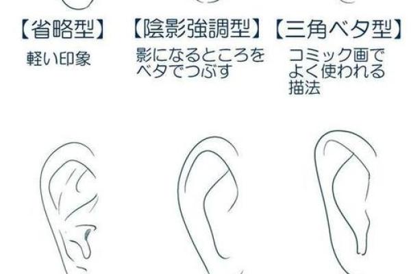 耳朵小面相解析：如何从耳朵大小看性格与运势