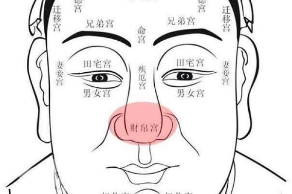 额颞风水布局对事业运势的影响解析