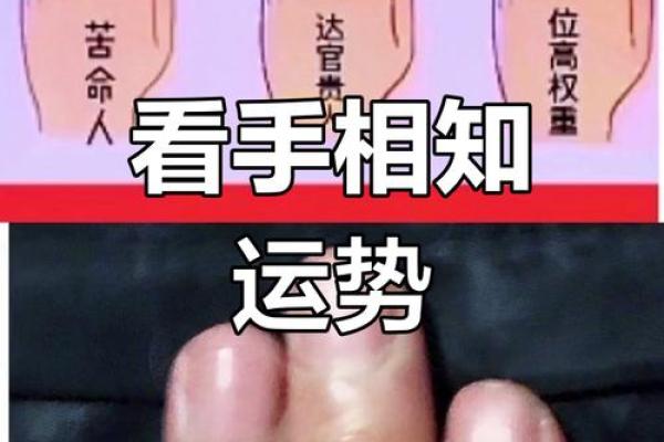 掌中有命运，王大有手相为你指引方向