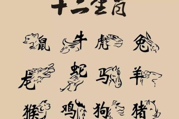 不同时间段的生肖特点揭秘
