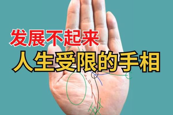 探索手相出名线：从手掌看人生辉煌