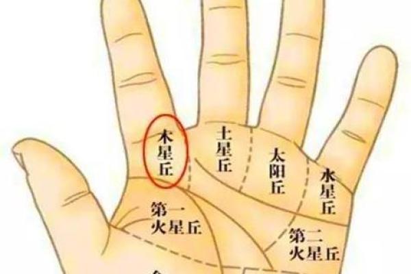 探索手相出名线：从手掌看人生辉煌