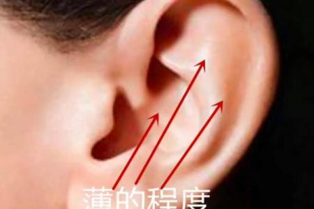 耳朵小面相解析：如何从耳朵大小看性格与运势