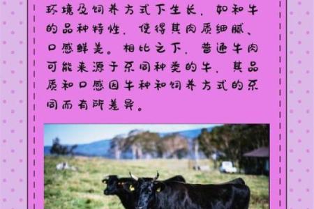 牛与牛婚姻是否理想？深度解析两者关系
