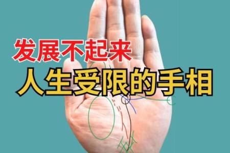 探索手相出名线：从手掌看人生辉煌