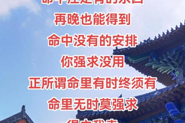 命理秘本揭示的命运之道与人生智慧