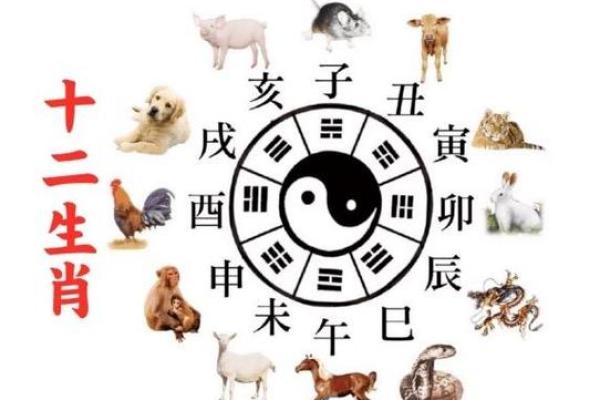 牛与虎相配，婚姻能否持久幸福